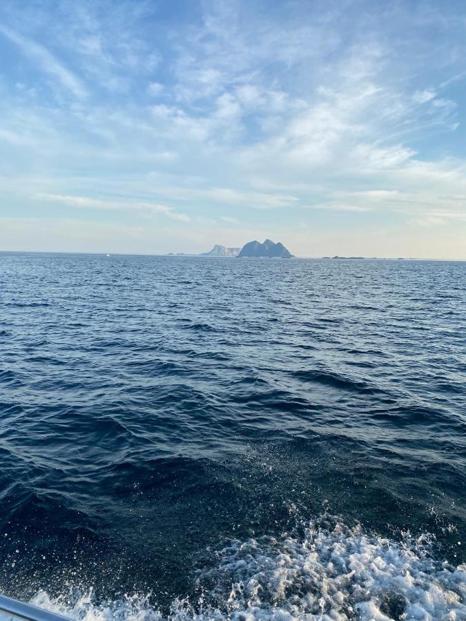 High End Sea Cabins At A In Lofoten โมสคิเนส ภายนอก รูปภาพ